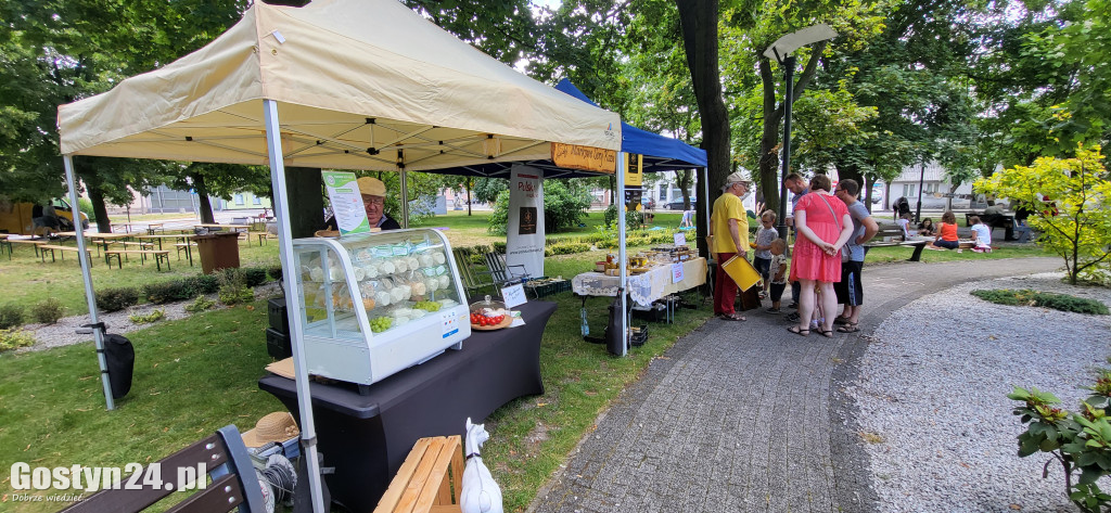 Kulturalny piknik w gostyńskich plantach