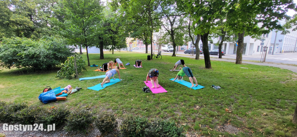 Kulturalny piknik w gostyńskich plantach