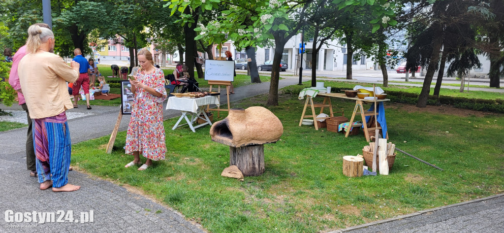 Kulturalny piknik w gostyńskich plantach
