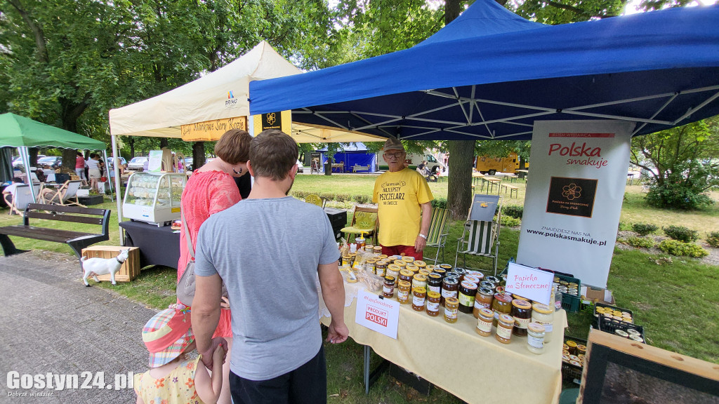 Kulturalny piknik w gostyńskich plantach