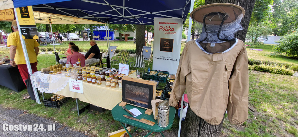 Kulturalny piknik w gostyńskich plantach