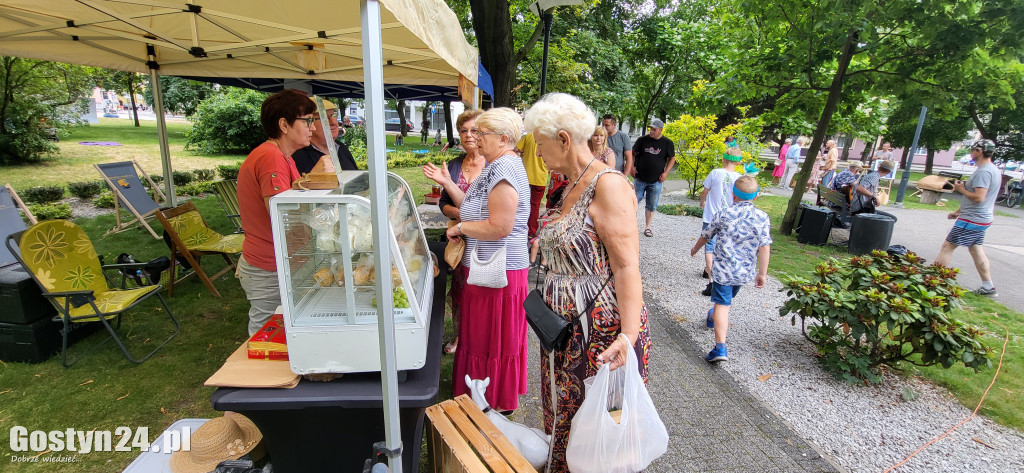 Kulturalny piknik w gostyńskich plantach