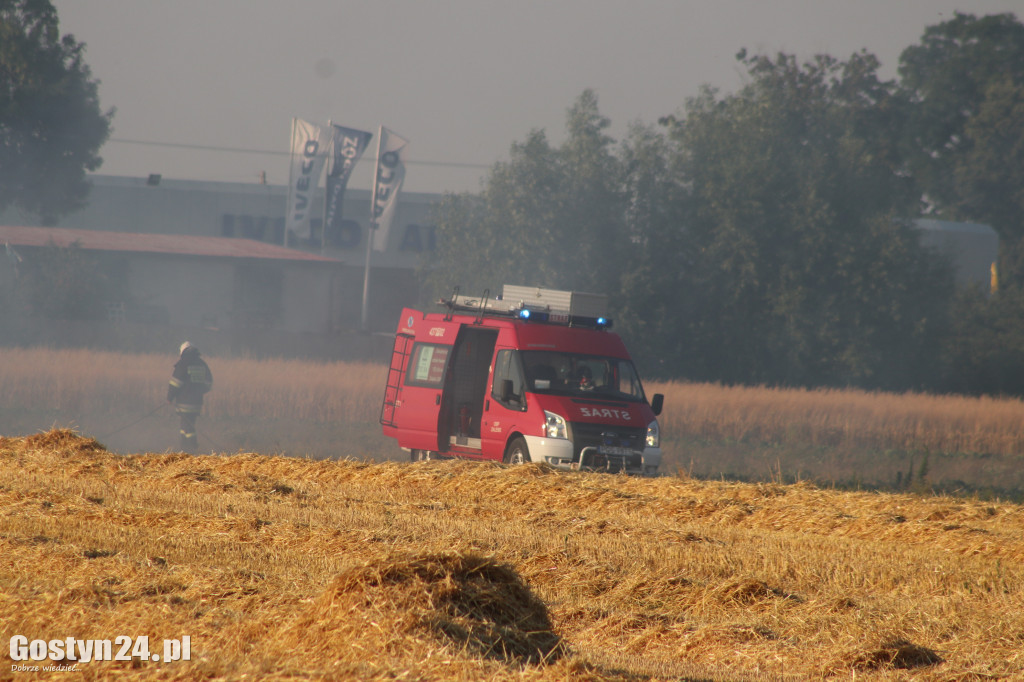 Pożar na polu pomiędzy Strumianami a Borkiem Wlkp.