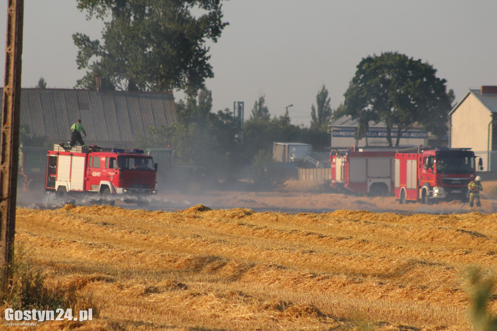 Pożar na polu pomiędzy Strumianami a Borkiem Wlkp.
