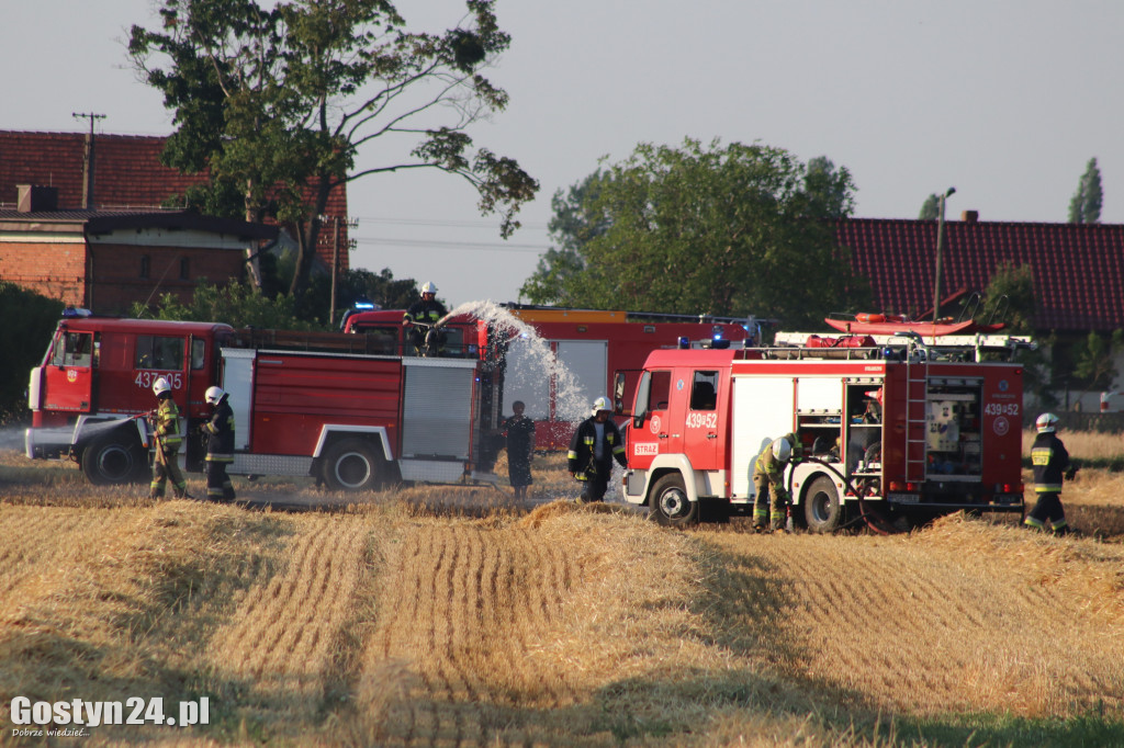 Pożar na polu pomiędzy Strumianami a Borkiem Wlkp.