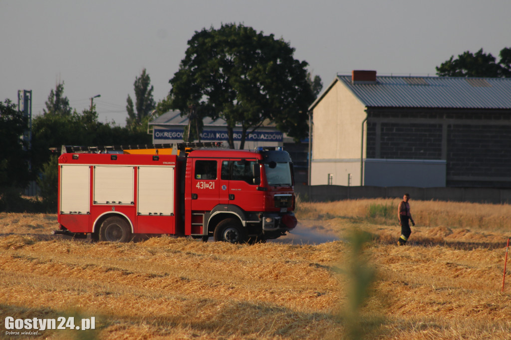 Pożar na polu pomiędzy Strumianami a Borkiem Wlkp.