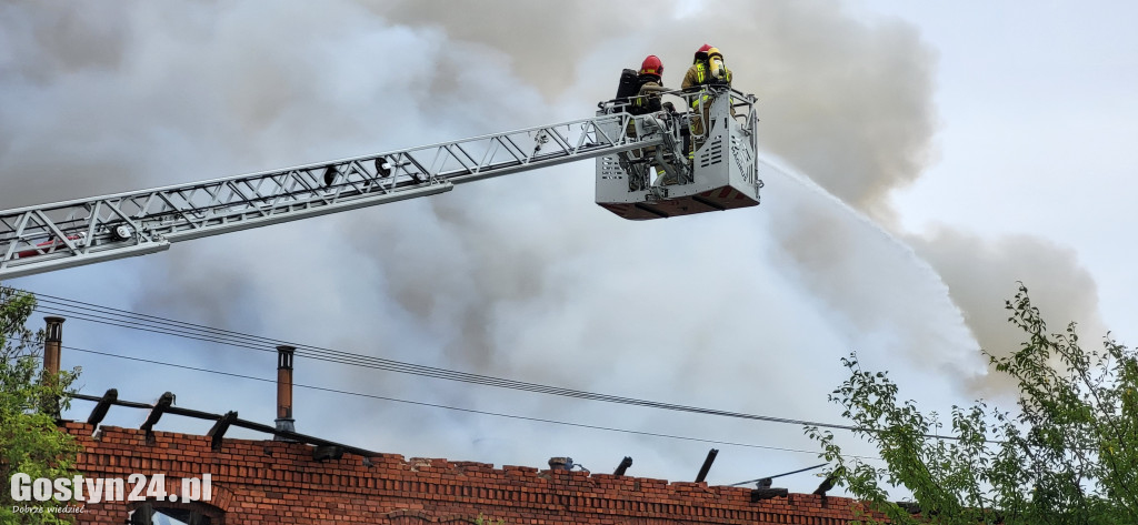 Ogromny pożar w Drzęczewie Drugim
