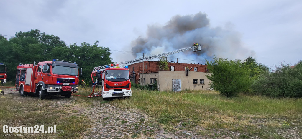 Ogromny pożar w Drzęczewie Drugim