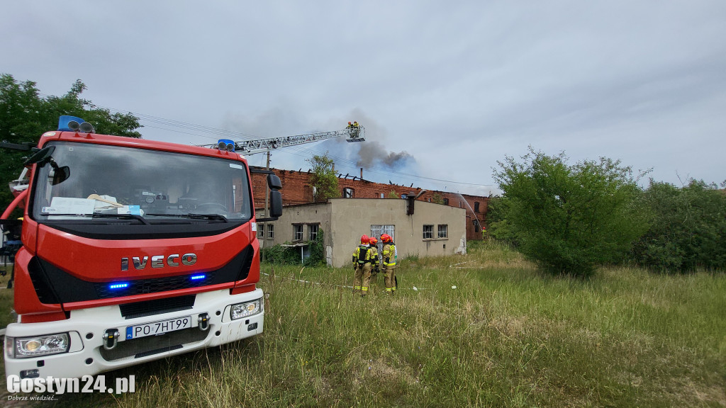 Ogromny pożar w Drzęczewie Drugim