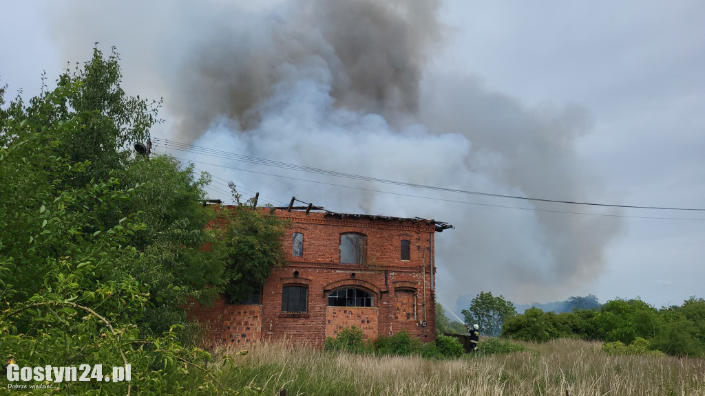 Ogromny pożar w Drzęczewie Drugim