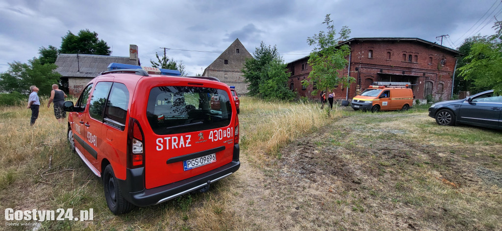 Ogromny pożar w Drzęczewie Drugim
