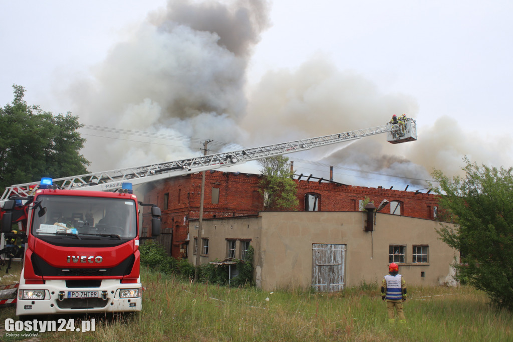 Ogromny pożar w Drzęczewie Drugim