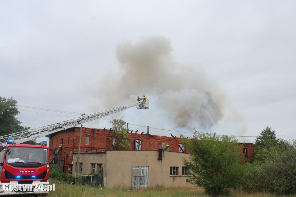 Ogromny pożar w Drzęczewie Drugim