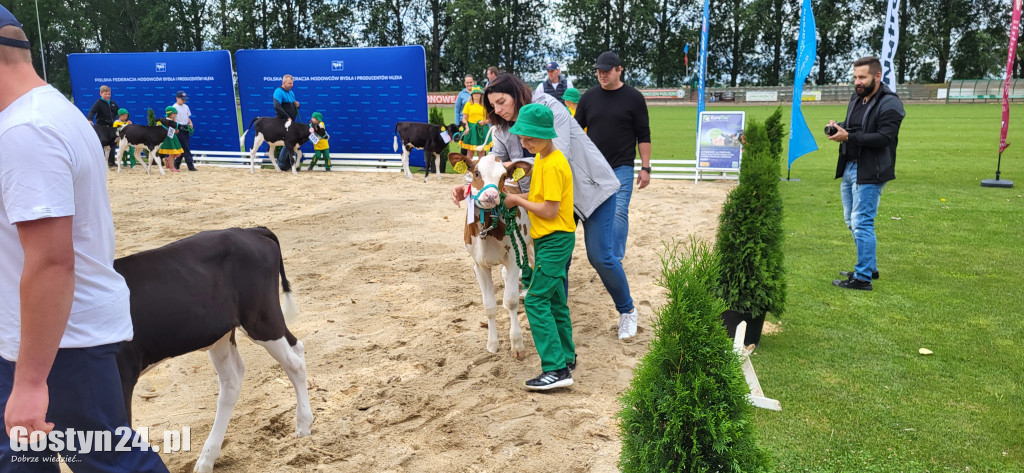 XIV Wystawa Zwierząt Hodowlanych w Pudliszkach