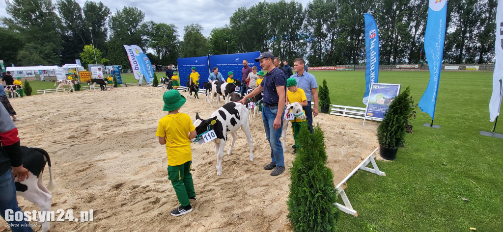 XIV Wystawa Zwierząt Hodowlanych w Pudliszkach