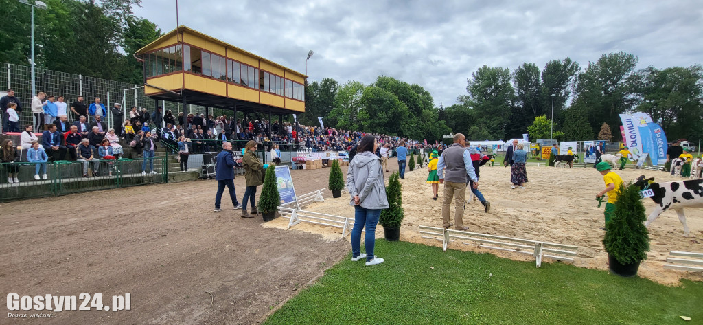 XIV Wystawa Zwierząt Hodowlanych w Pudliszkach