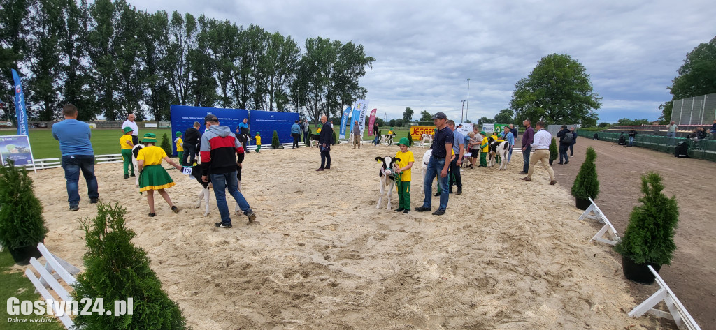 XIV Wystawa Zwierząt Hodowlanych w Pudliszkach