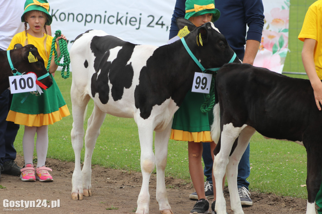 XIV Wystawa Zwierząt Hodowlanych w Pudliszkach