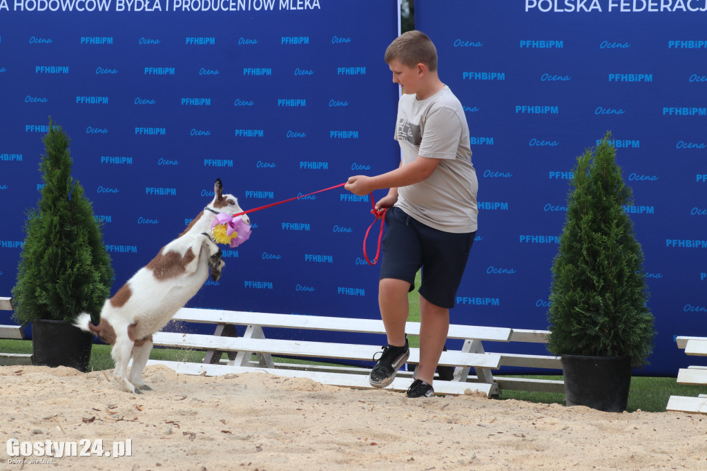 XIV Wystawa Zwierząt Hodowlanych w Pudliszkach