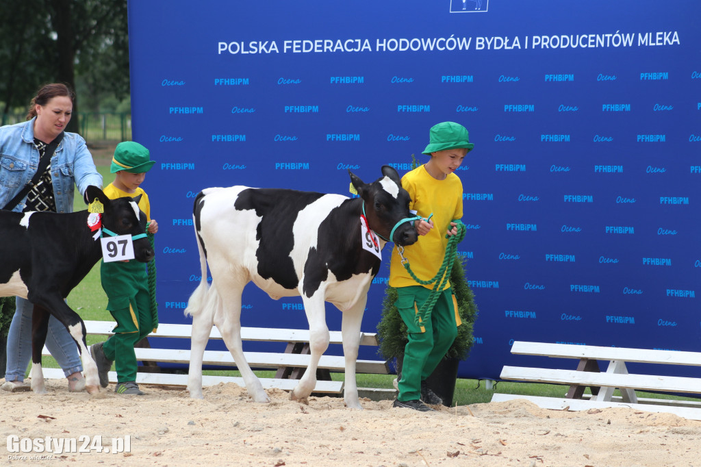 XIV Wystawa Zwierząt Hodowlanych w Pudliszkach