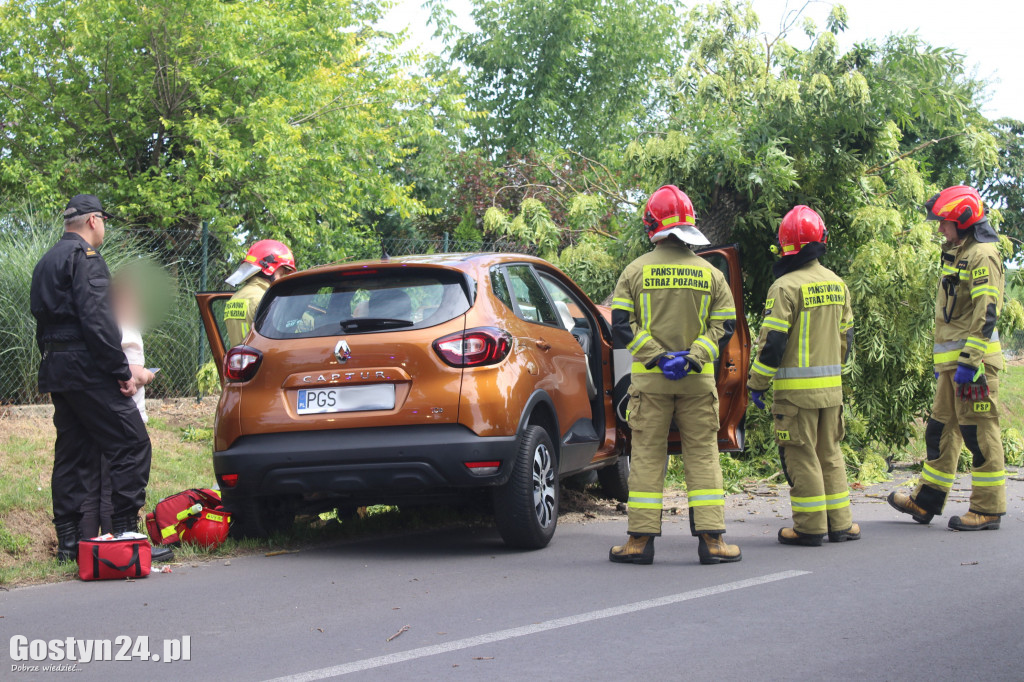 Kierowca renault captur roztrzaskał się na drzewie