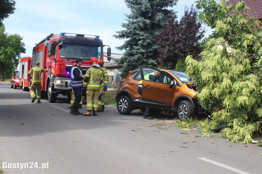 Kierowca renault captur roztrzaskał się na drzewie