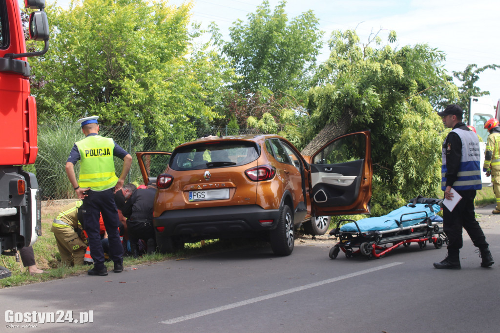 Kierowca renault captur roztrzaskał się na drzewie
