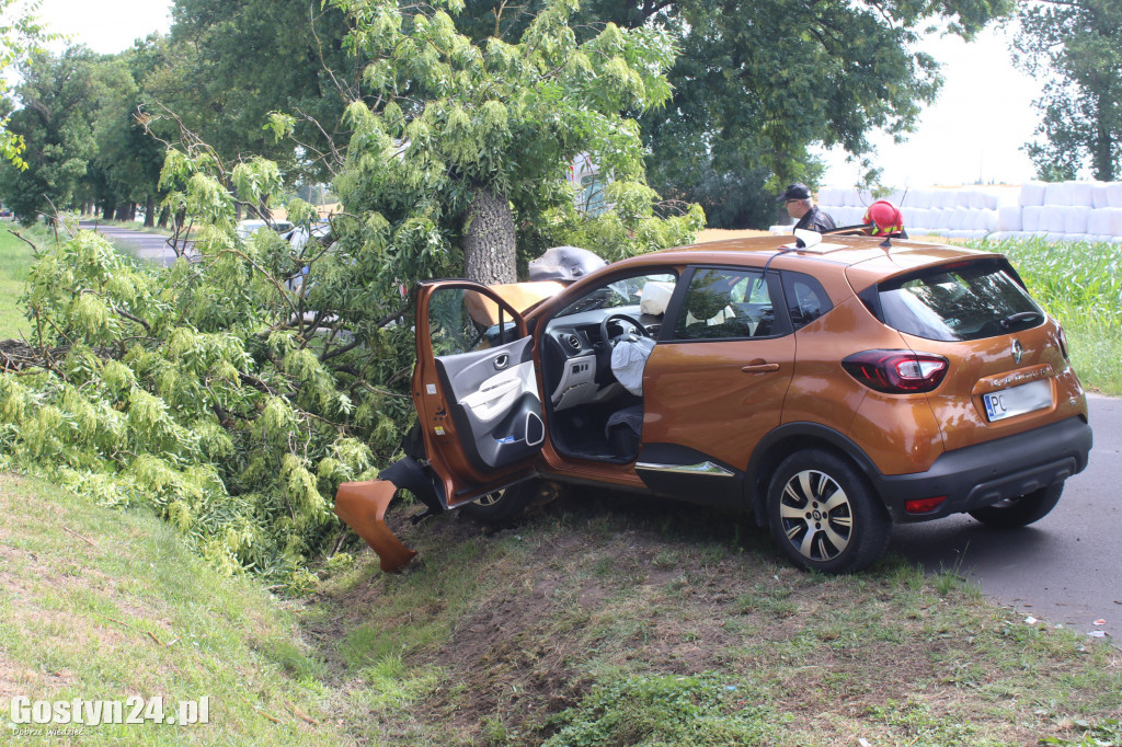 Kierowca renault captur roztrzaskał się na drzewie