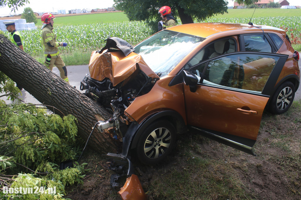 Kierowca renault captur roztrzaskał się na drzewie