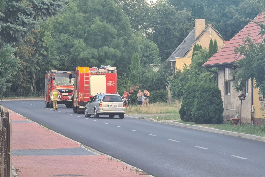 Użądlenie przez szerszenia w Dzięczynie