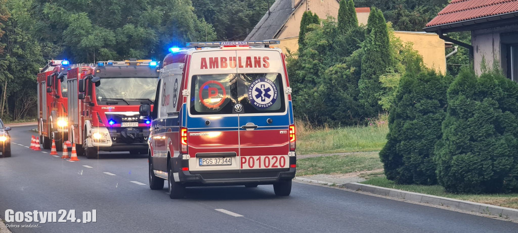 Użądlenie przez szerszenia w Dzięczynie