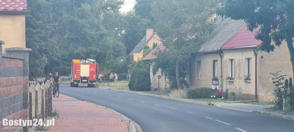 Użądlenie przez szerszenia w Dzięczynie