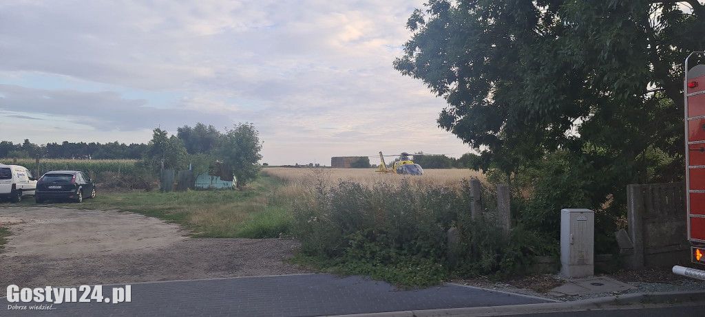 Użądlenie przez szerszenia w Dzięczynie