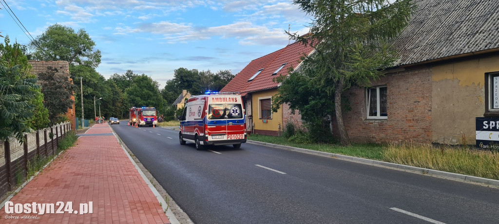 Użądlenie przez szerszenia w Dzięczynie