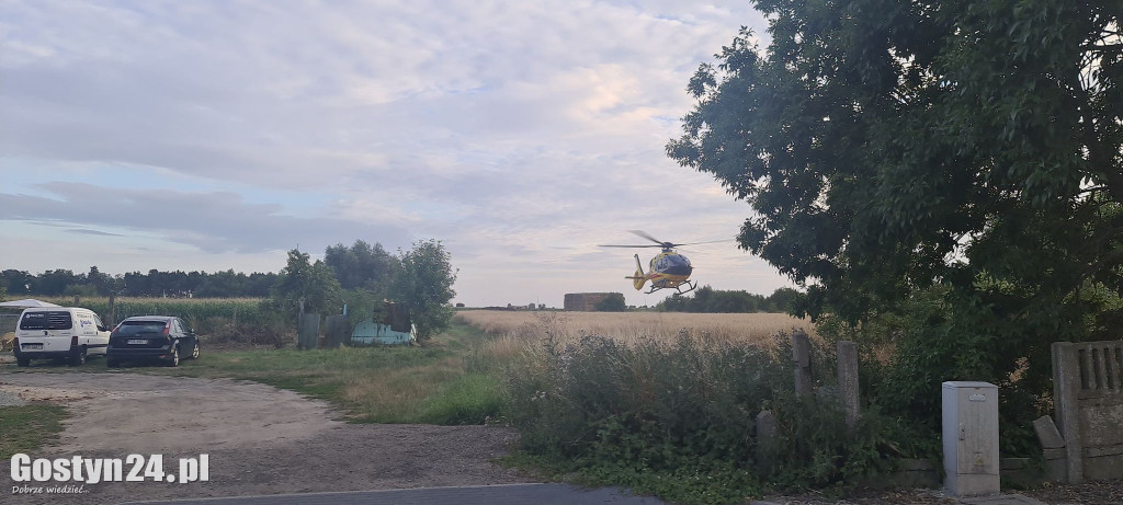 Użądlenie przez szerszenia w Dzięczynie