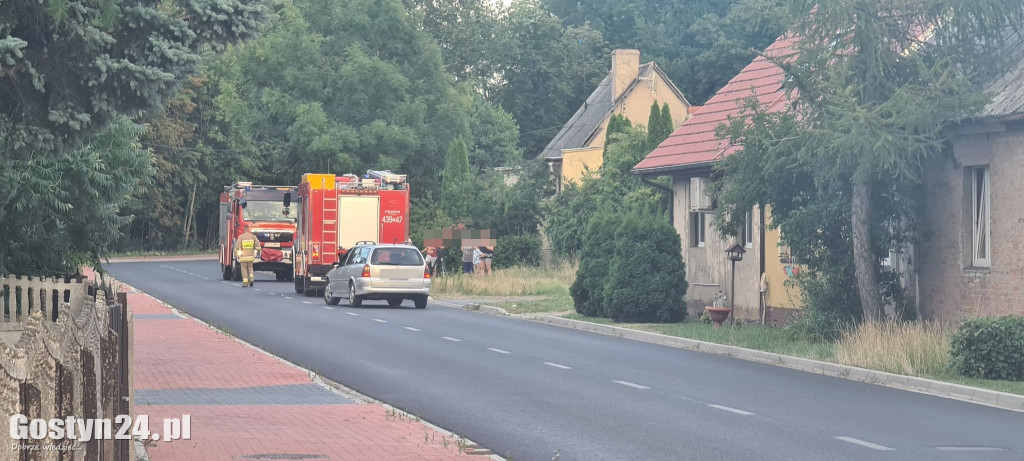 Użądlenie przez szerszenia w Dzięczynie