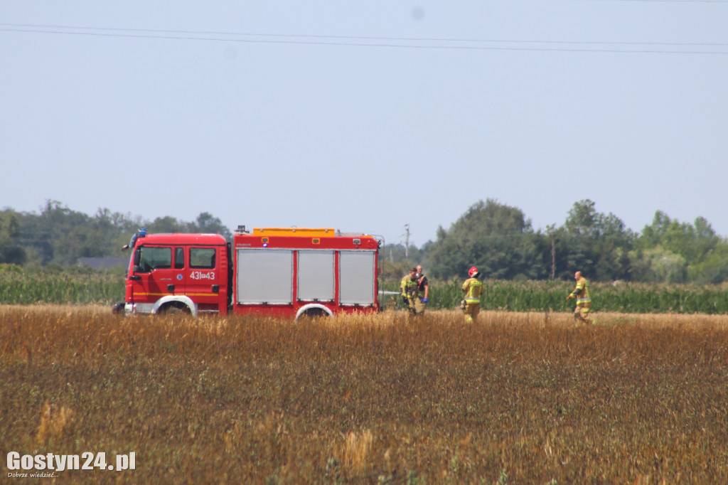 Pożar na polach pomiędzy Karolewem a Borkiem Wlkp.