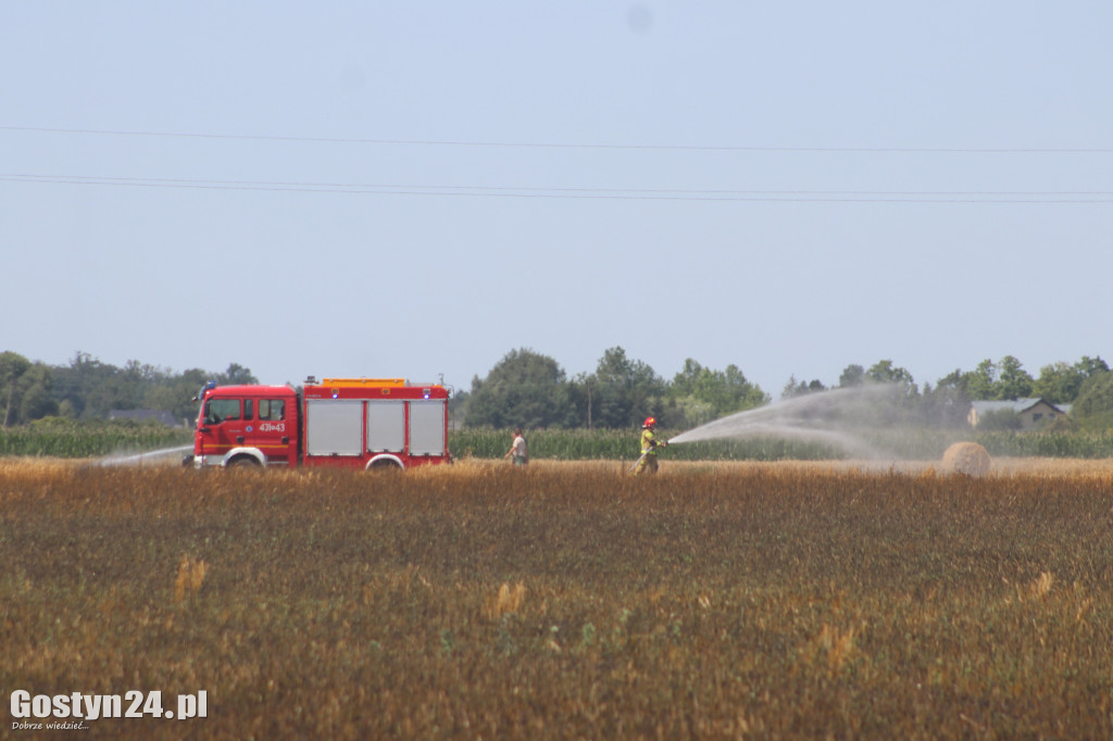 Pożar na polach pomiędzy Karolewem a Borkiem Wlkp.