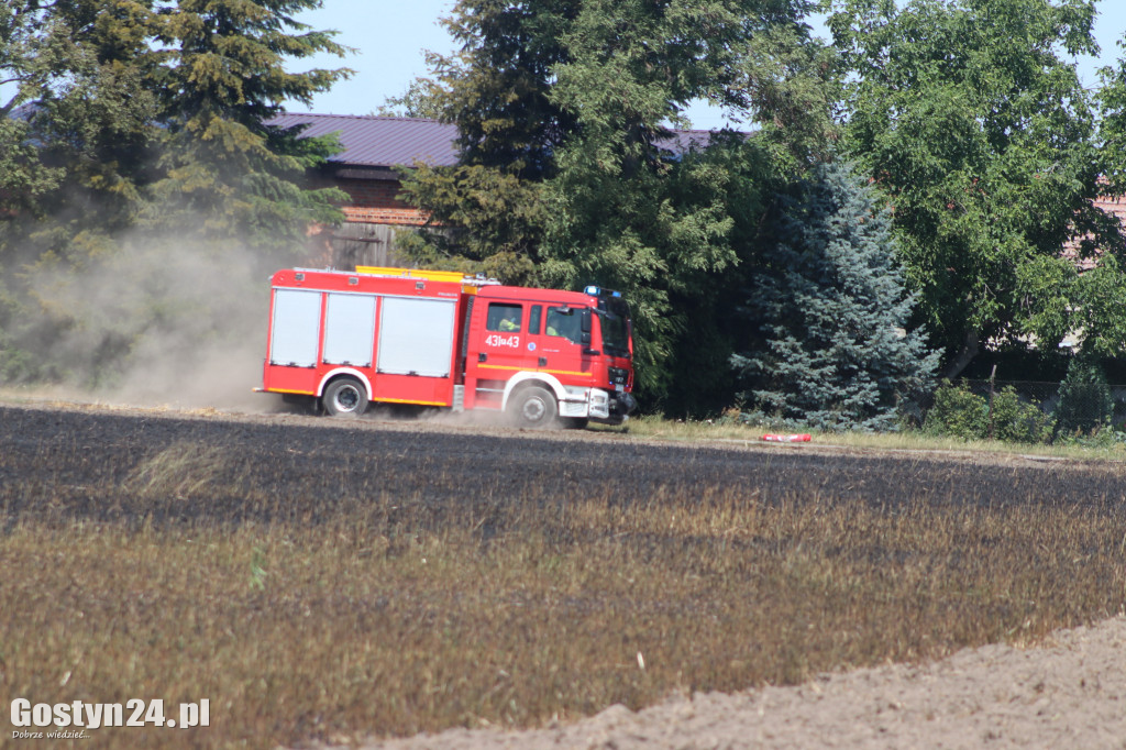 Pożar na polach pomiędzy Karolewem a Borkiem Wlkp.