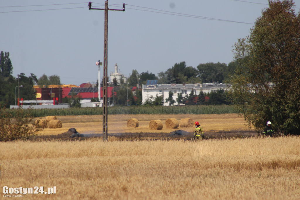 Pożar na polach pomiędzy Karolewem a Borkiem Wlkp.