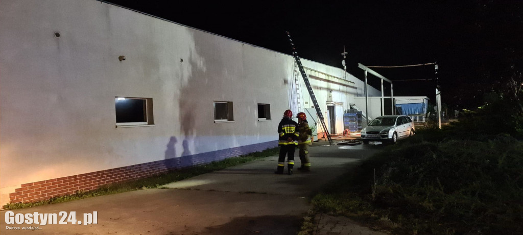 Nocny pożar pieczarkarni w Janiszewie