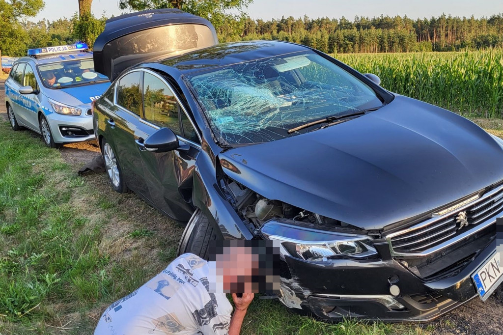 Samochód uderzył w drzewo w Siedmiorogowie Pierwszym