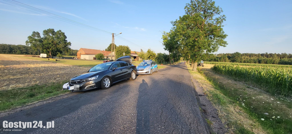 Samochód uderzył w drzewo w Siedmiorogowie Pierwszym