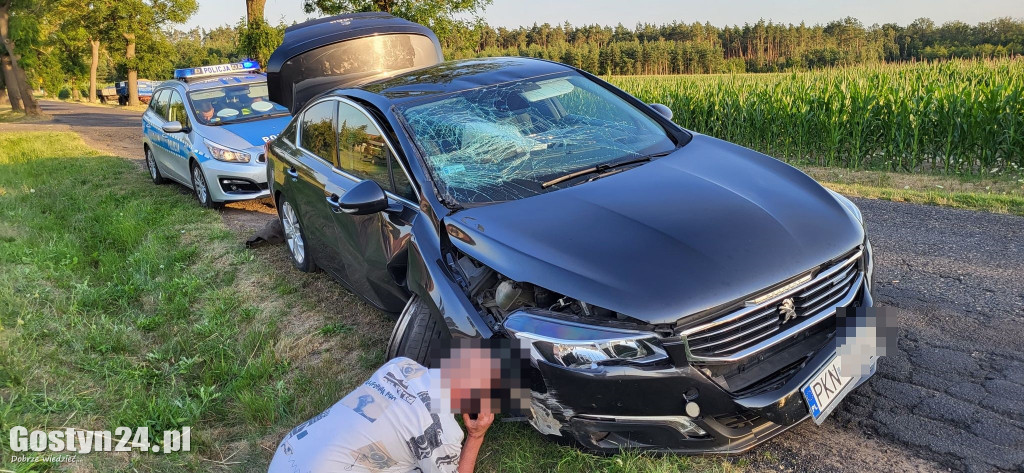 Samochód uderzył w drzewo w Siedmiorogowie Pierwszym