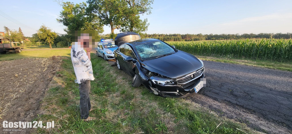 Samochód uderzył w drzewo w Siedmiorogowie Pierwszym
