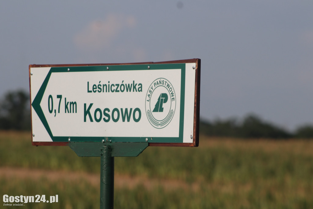 Za nami II Kosowski Bieg Przełajowy
