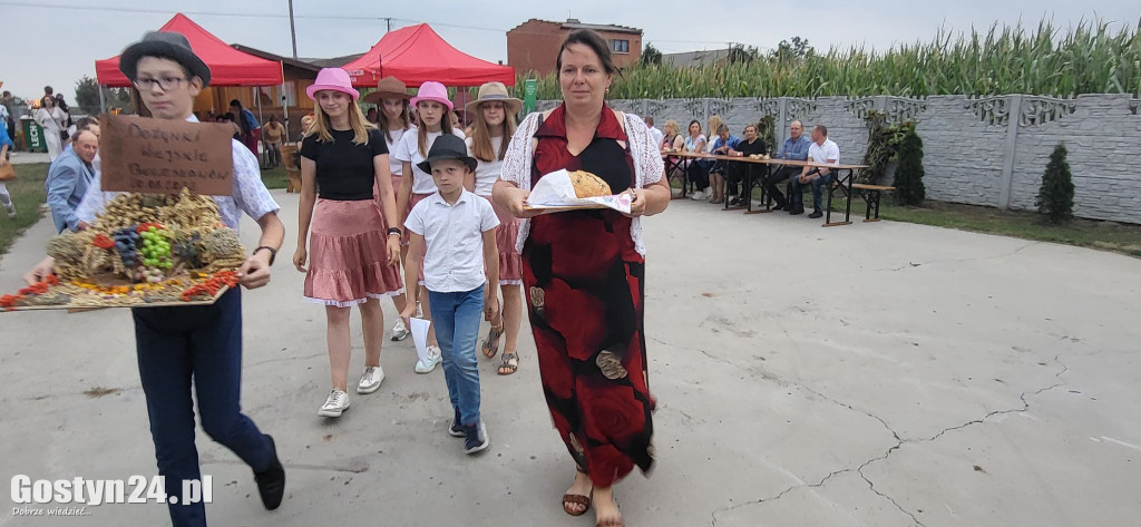 Dożynki wiejskie w Bolesławowie, gmina Borek Wlkp.
