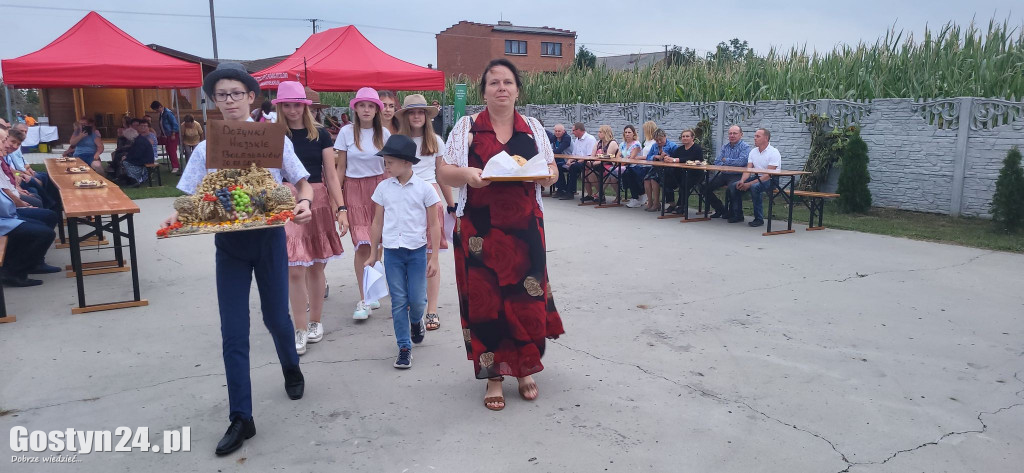 Dożynki wiejskie w Bolesławowie, gmina Borek Wlkp.