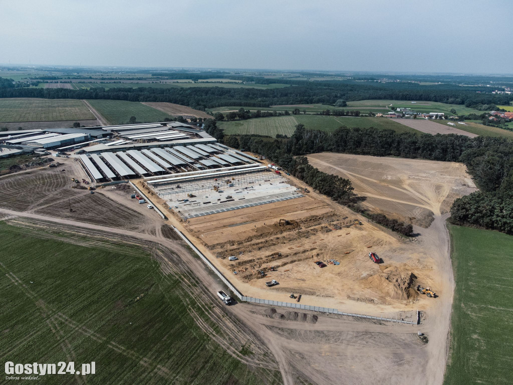 Interwencja w podboreckiej Dąbrówce
