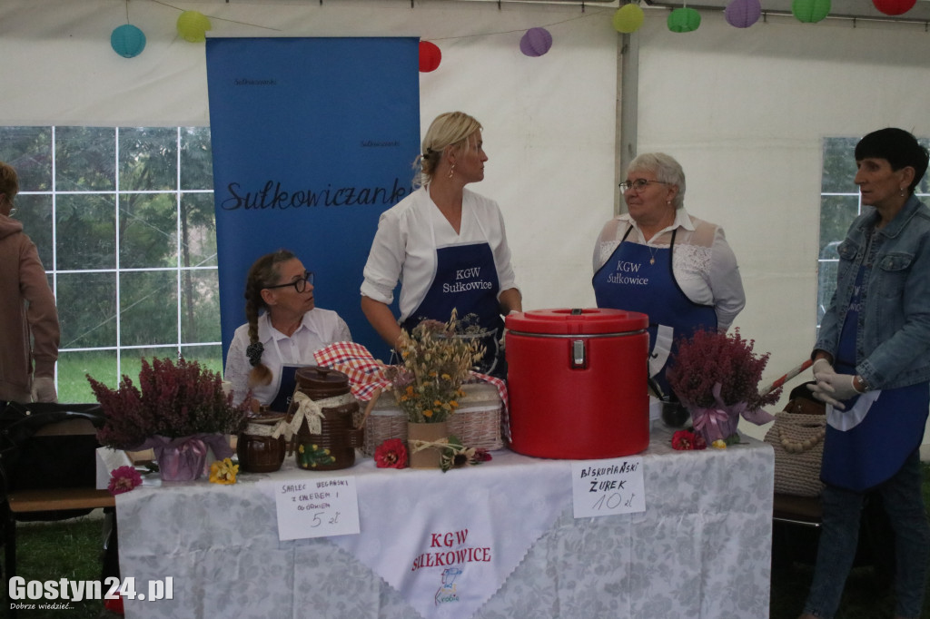 Festiwal Tradycji i Folkloru w Domachowie